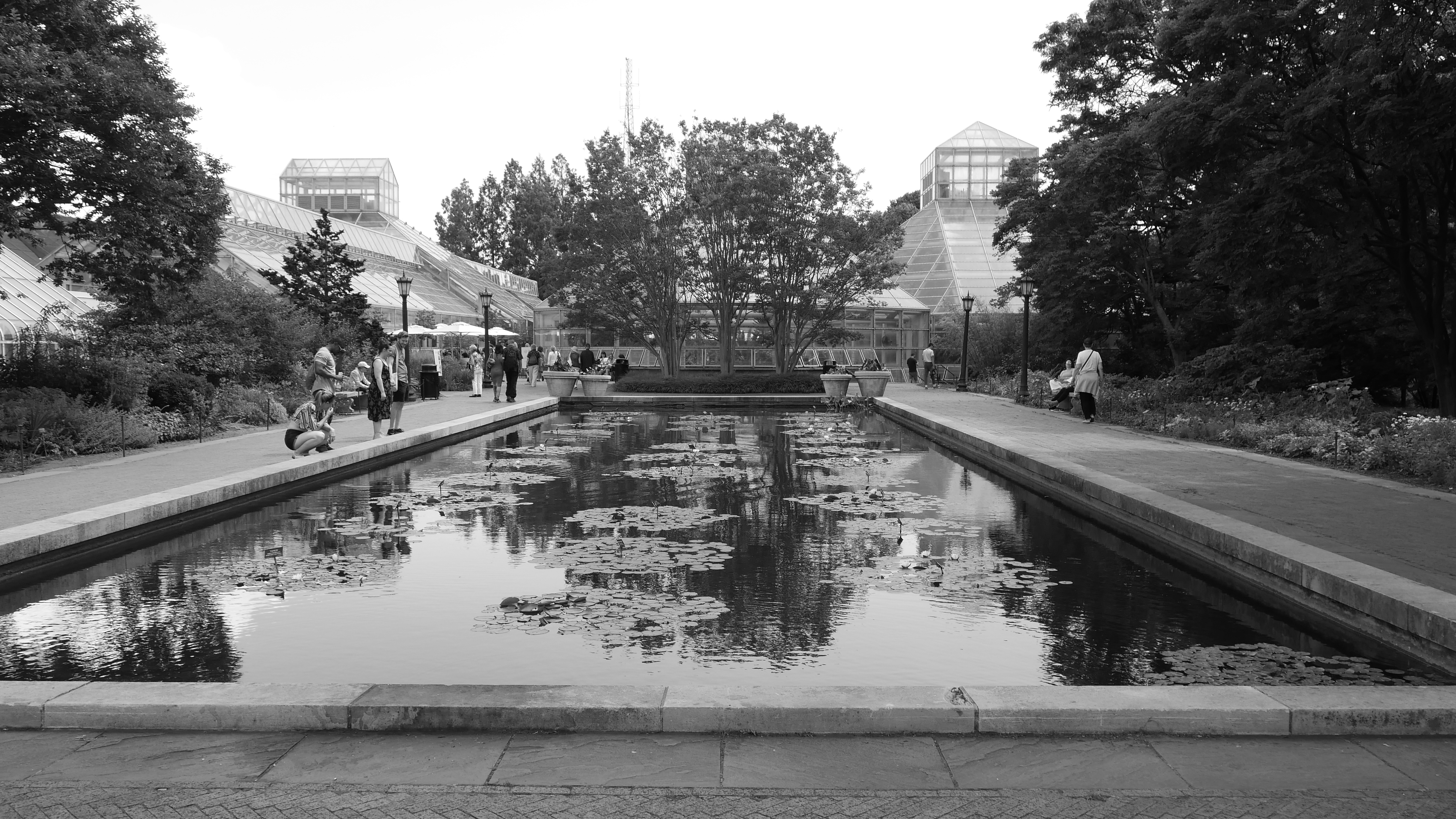 Foresight Technologies